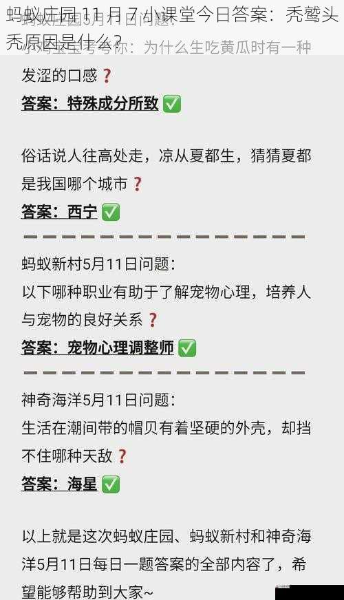 蚂蚁庄园 11 月 7 小课堂今日答案：秃鹫头秃原因是什么？