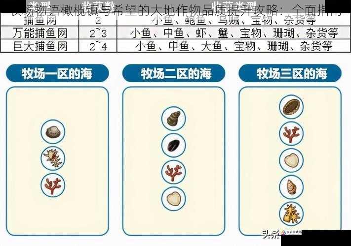 牧场物语橄榄镇与希望的大地作物品质提升攻略：全面指南