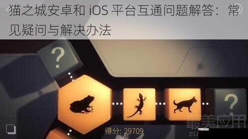 猫之城安卓和 iOS 平台互通问题解答：常见疑问与解决办法