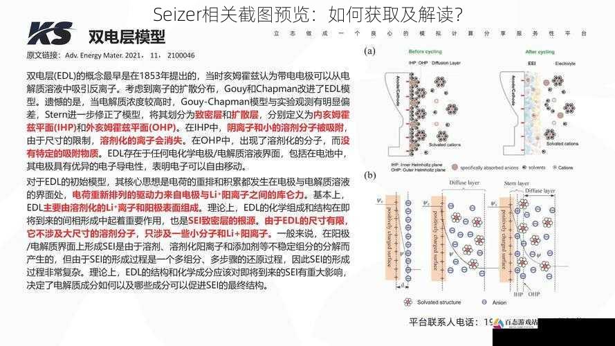 Seizer相关截图预览：如何获取及解读？