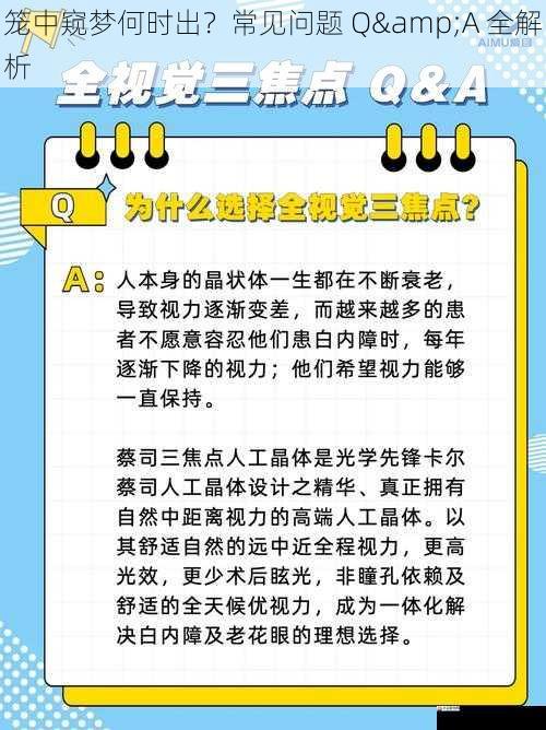 笼中窥梦何时出？常见问题 Q&A 全解析