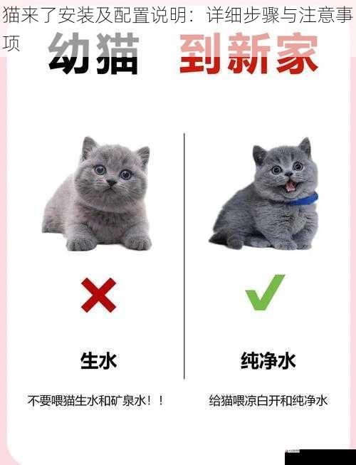 猫来了安装及配置说明：详细步骤与注意事项