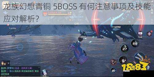 龙族幻想青铜 5BOSS 有何注意事项及技能应对解析？