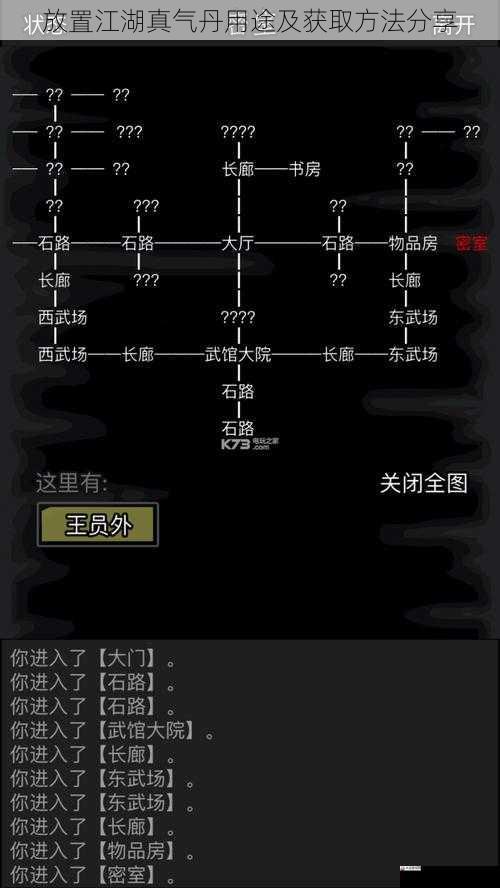 放置江湖真气丹用途及获取方法分享