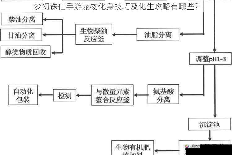 化生材料与获取途径