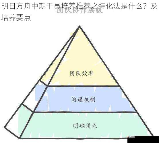 战术定位与团队配合