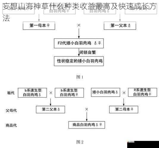 繁殖与培育策略