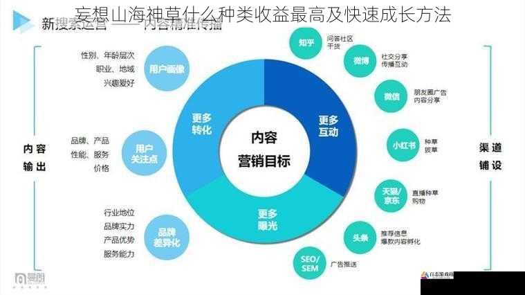 市场需求与销售策略