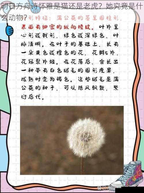 明日方舟诗怀雅是猫还是老虎？她究竟是什么动物？