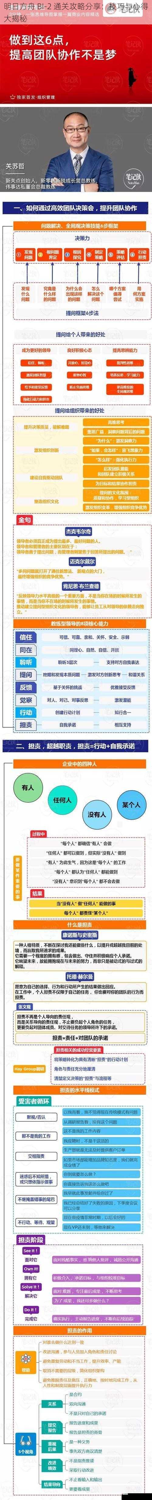 团队协作与配合