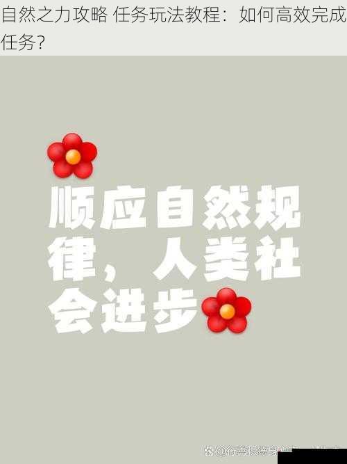 遵循自然节奏