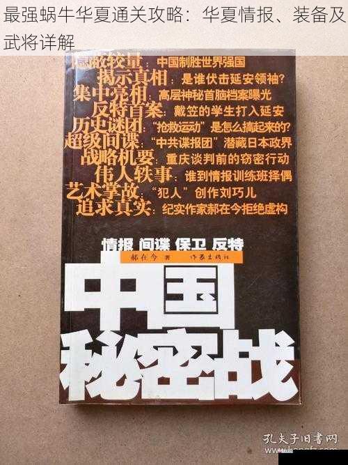 最强蜗牛华夏通关攻略：华夏情报、装备及武将详解