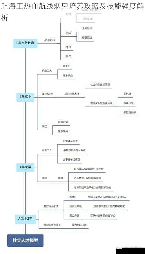 培养路线与资源分配