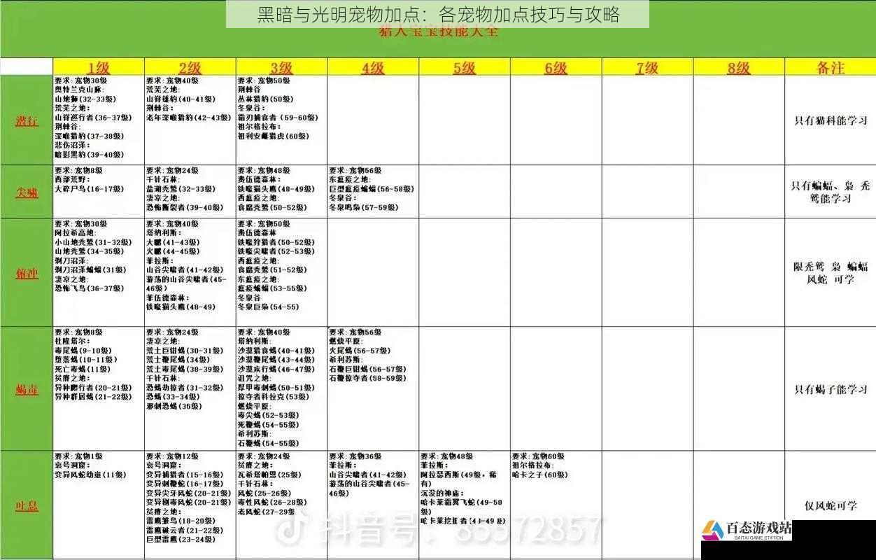 黑暗与光明宠物加点：各宠物加点技巧与攻略