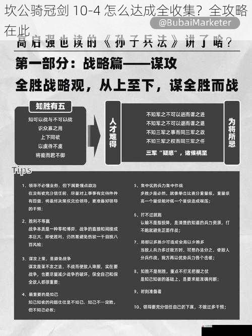 战斗技巧与策略