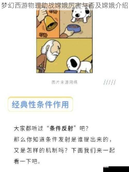 生存能力与辅助作用