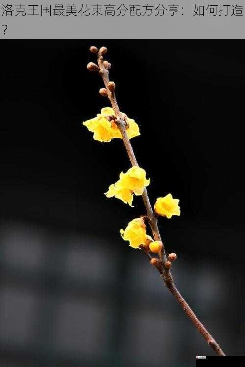 选择合适的花朵