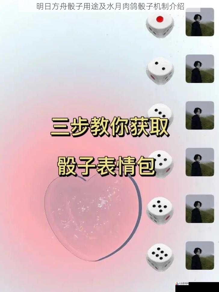 骰子的获取与升级