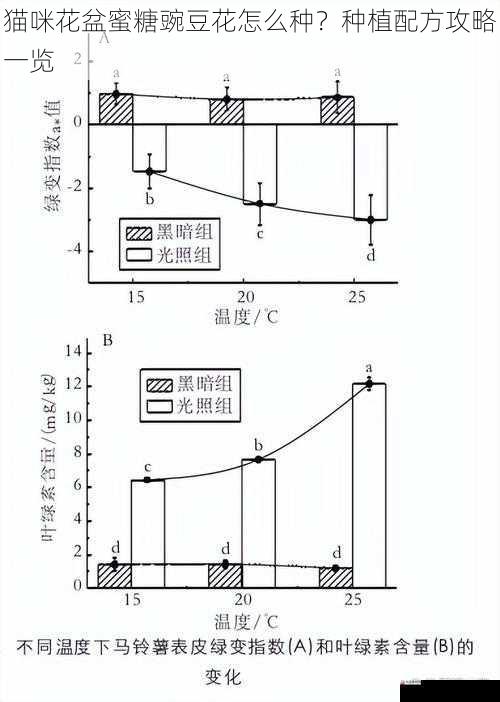 光照与温度