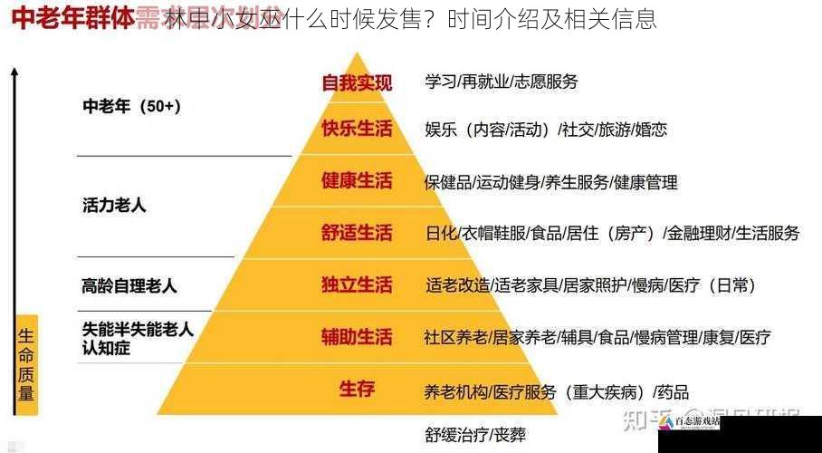 市场需求与发售时间的平衡