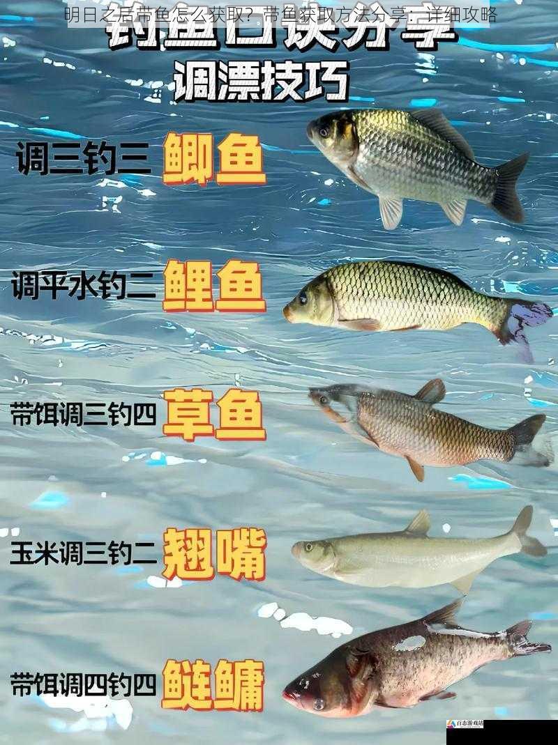 钓鱼技巧