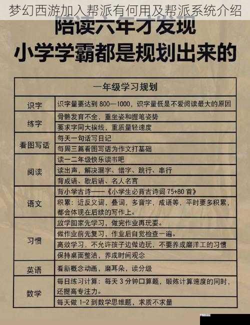 学习与成长机会