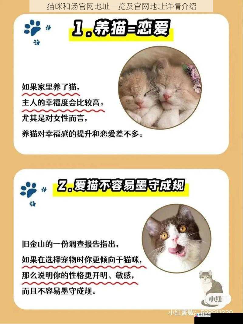 猫咪相关内容的丰富性