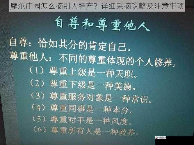 注意礼貌和尊重