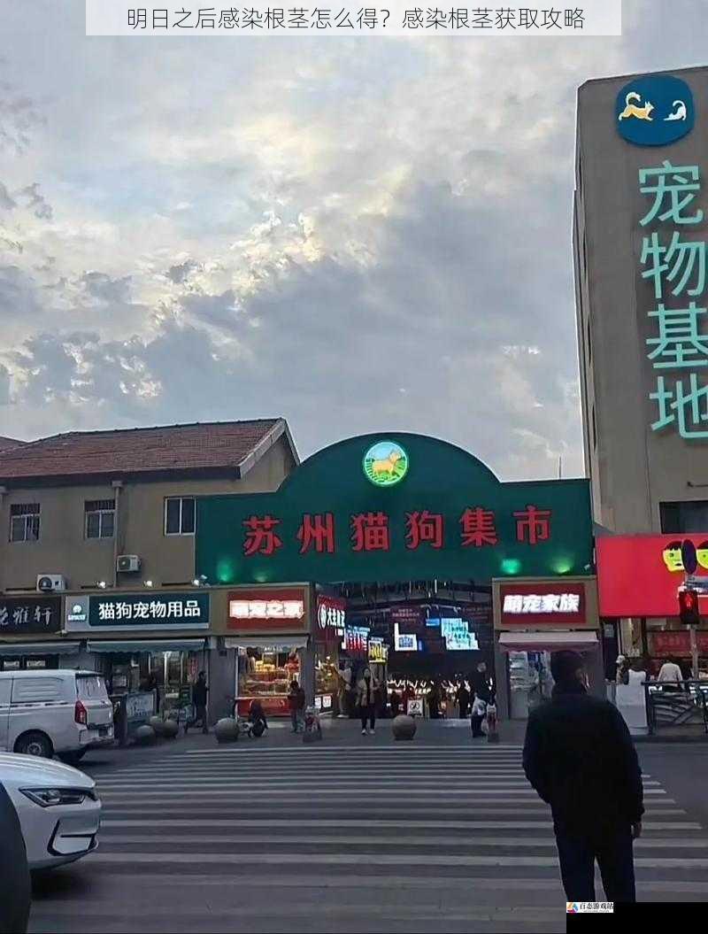 交易市场