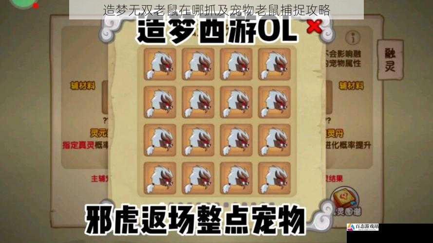 造梦无双老鼠在哪抓及宠物老鼠捕捉攻略