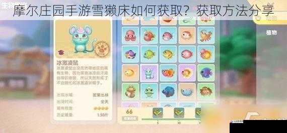 摩尔庄园手游雪獭床如何获取？获取方法分享