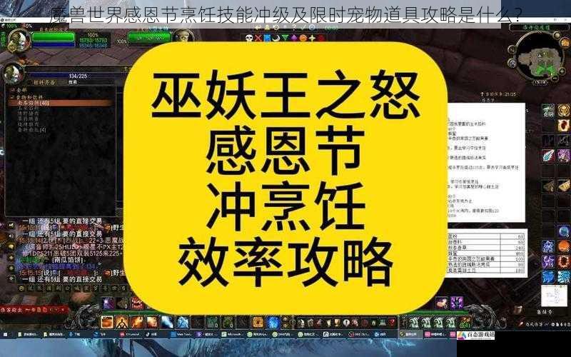 魔兽世界感恩节烹饪技能冲级及限时宠物道具攻略是什么？