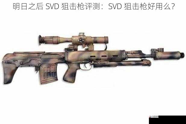 明日之后 SVD 狙击枪评测：SVD 狙击枪好用么？