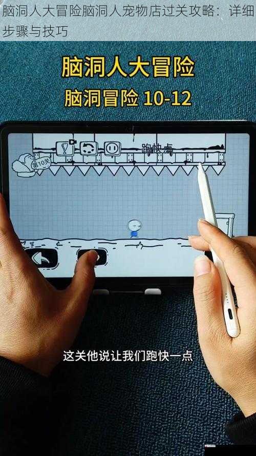 脑洞人大冒险脑洞人宠物店过关攻略：详细步骤与技巧