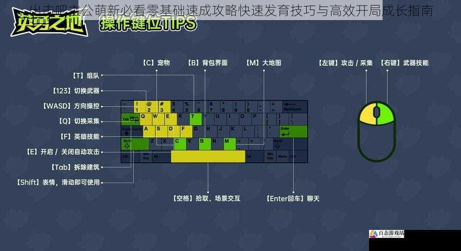 出击吧主公萌新必看零基础速成攻略快速发育技巧与高效开局成长指南