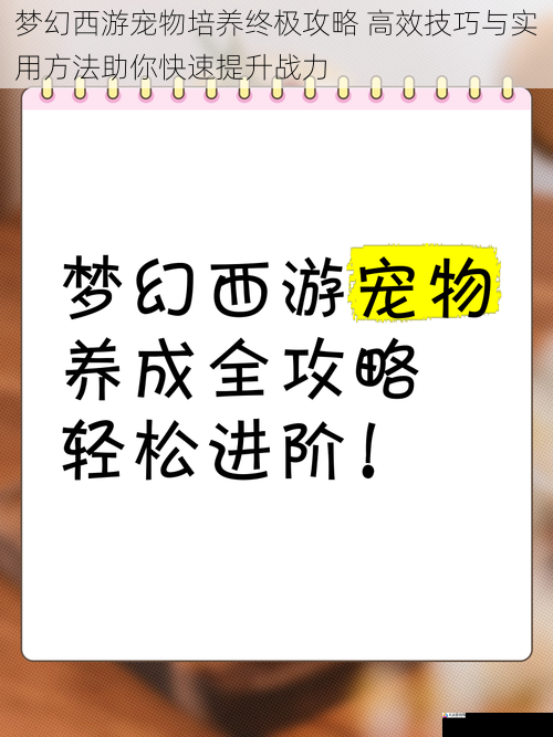 梦幻西游宠物培养终极攻略 高效技巧与实用方法助你快速提升战力